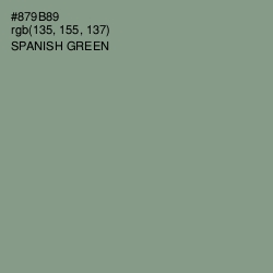 #879B89 - Spanish Green Color Image